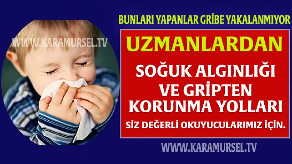 Gripten Korunma Yolları