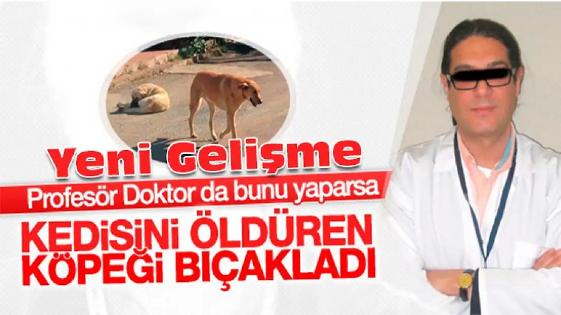 Köpeği öldüren profesörle ilgili yeni gelişme