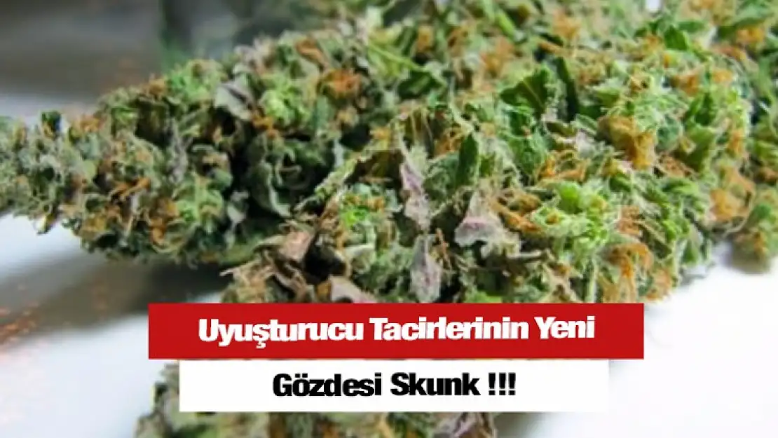 Uyuşturucu Tacirlerinin Yeni Gözdesi Skunk !