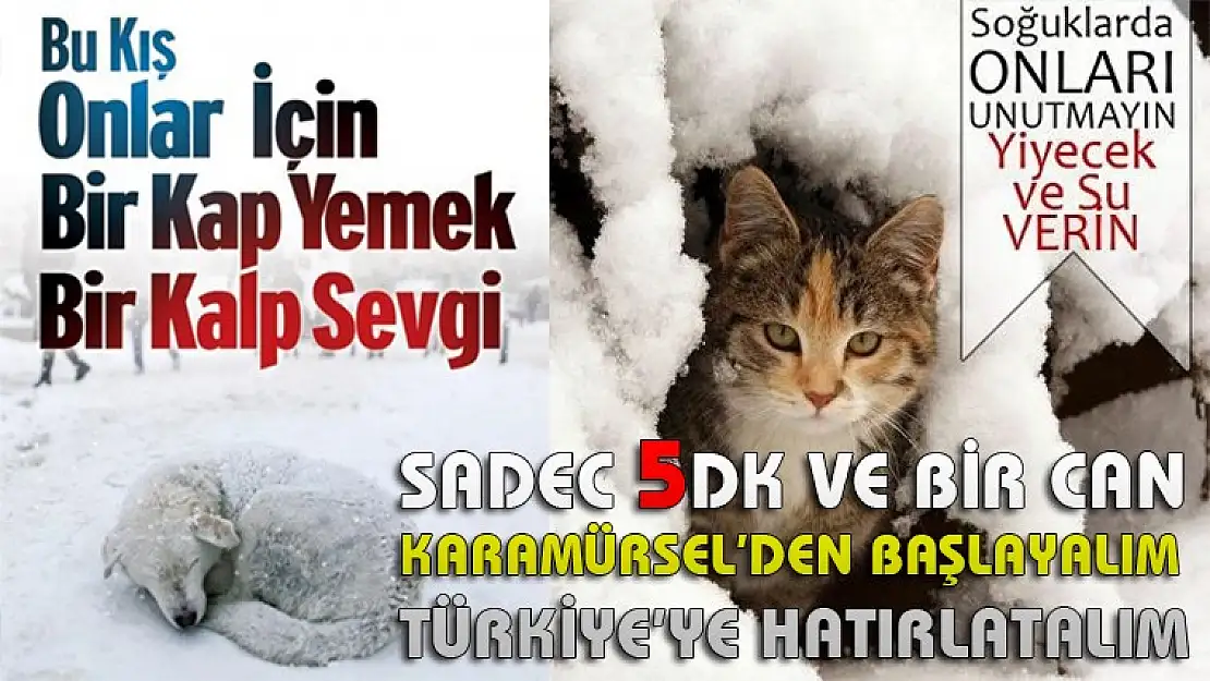 Sadece 5 dk Ayırarak bir can kurtarmaya vaktiniz var mı?