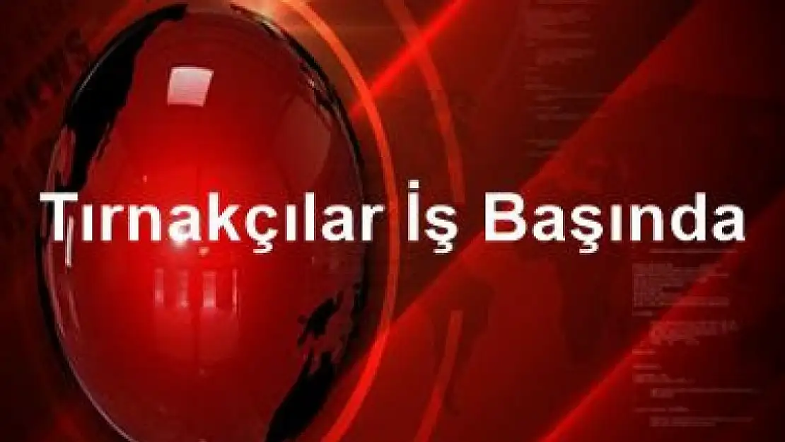 Karamürsel esnafı dikkat! Tırnakçılar Karamürsel'de