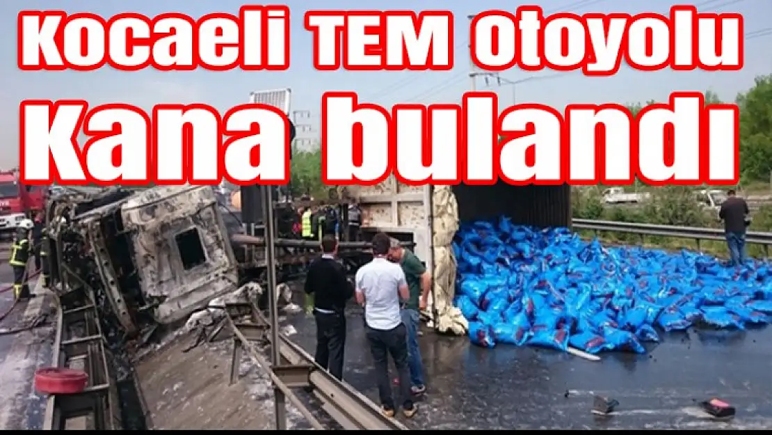 Kocaeli TEM Otoyolu kana bulandı