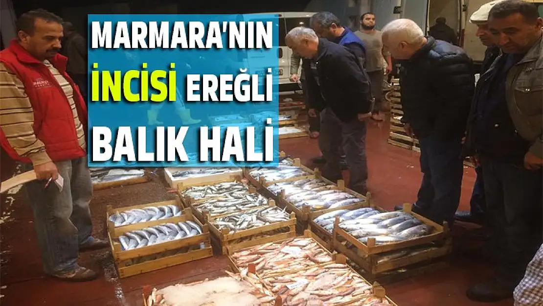 Marmaranın inci Ereğli balık hali