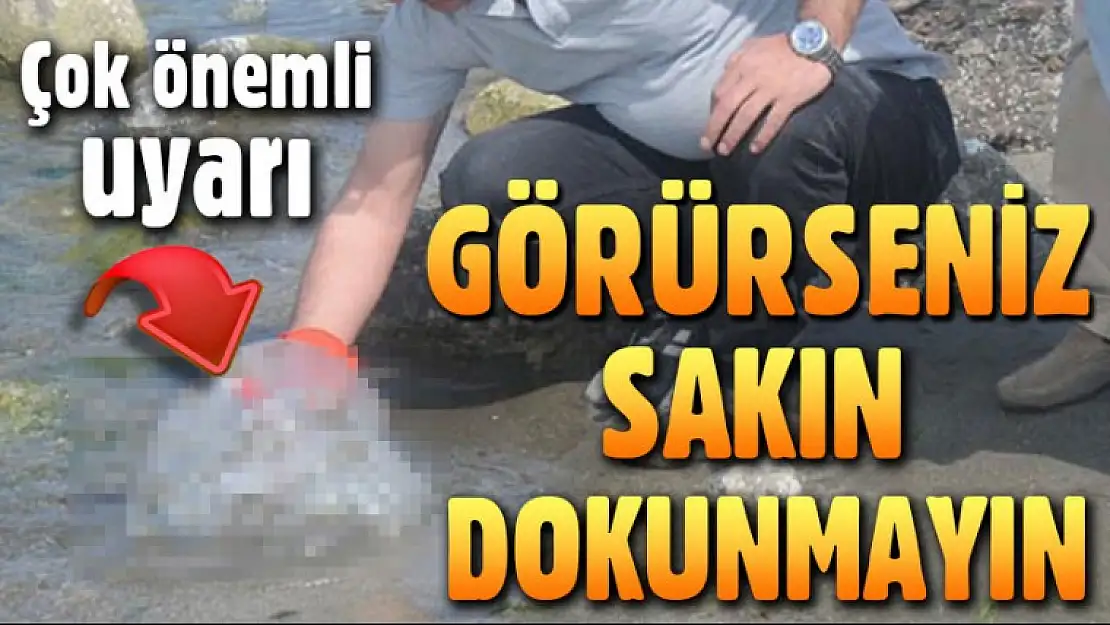 Çok Önemli UYARI: Ölü Olsa Bile Dokunmayın