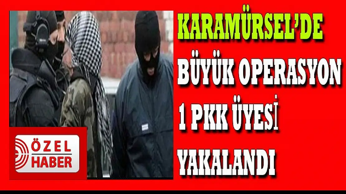 Son Dakika PKK üyesi yakalandı