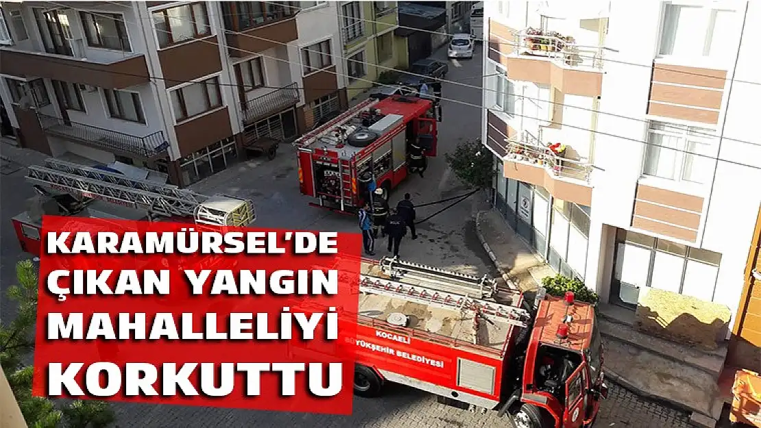 Karamürsel'de yangın