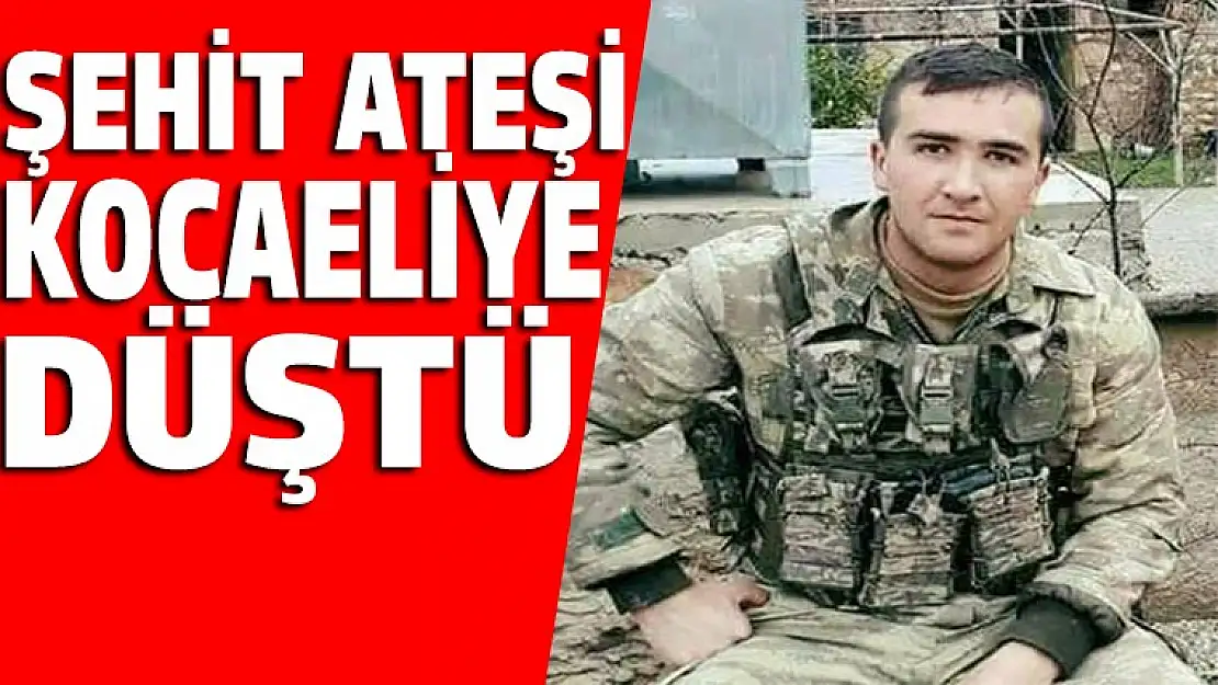 Şehit acısı Kocaeli'ye düştü!