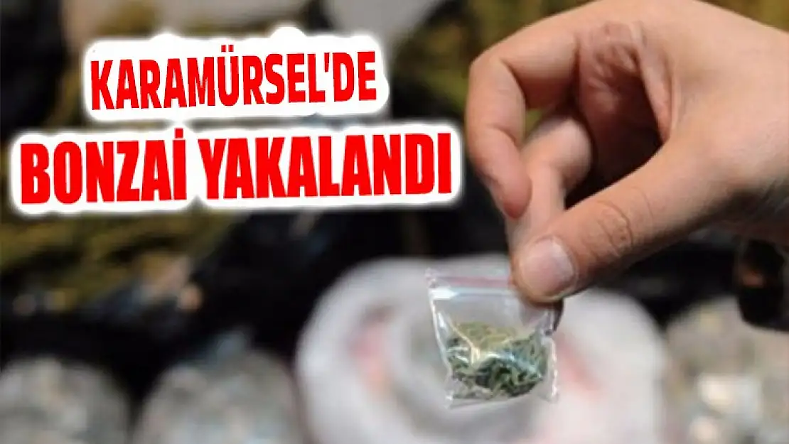 Polislerin şüphelendiği şahısdan bonzai çıktı