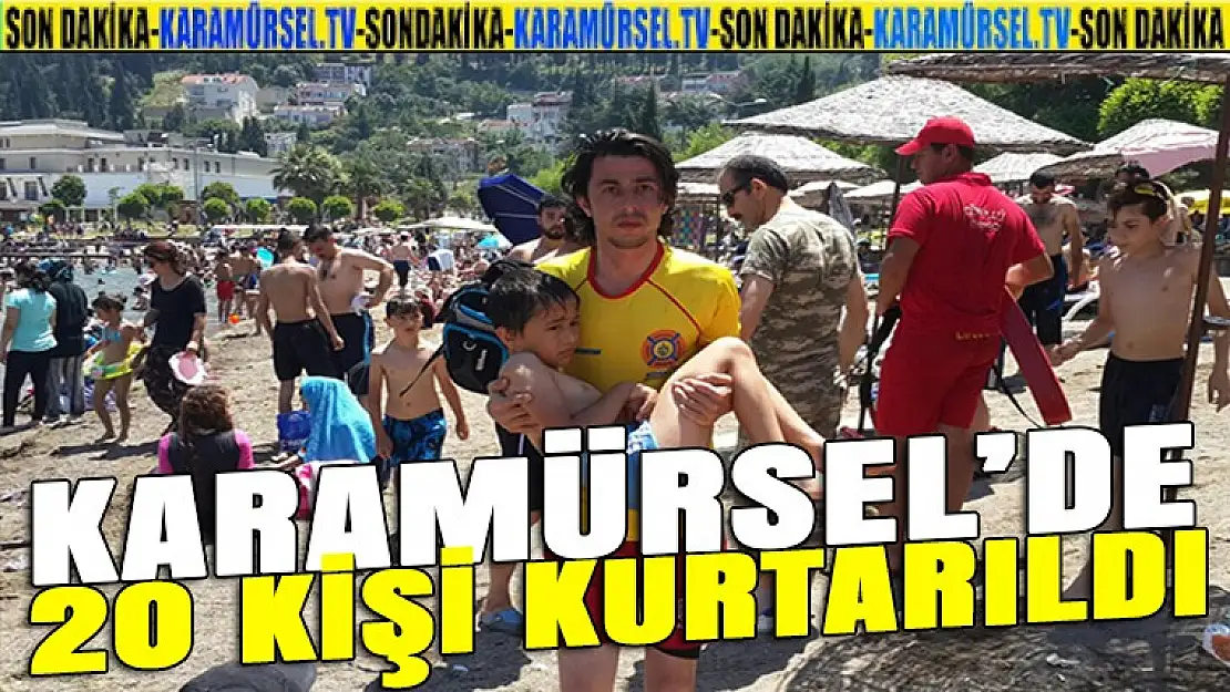 Karamürsel Altınkemer Plajında kuş uçurulmuyor