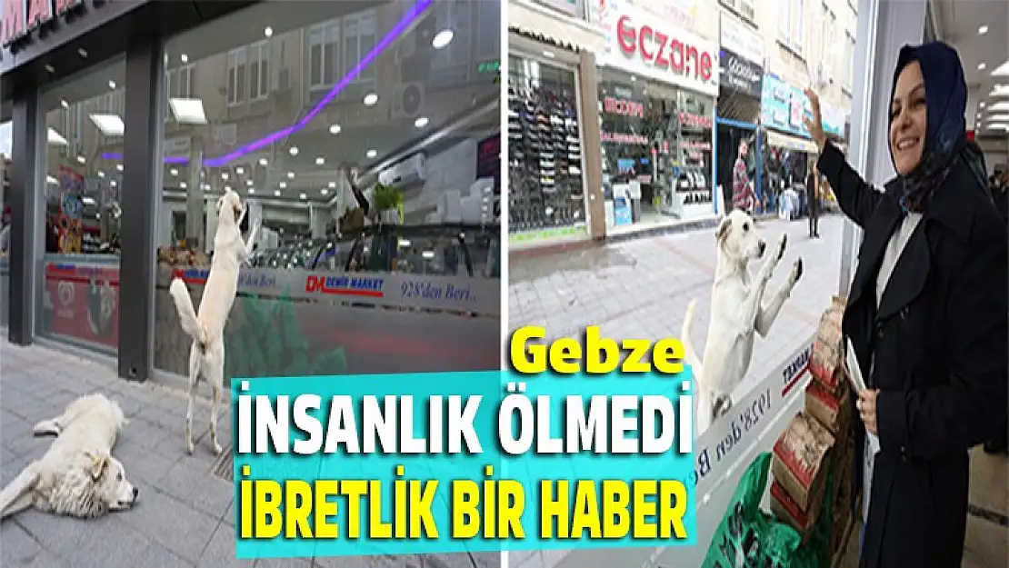 İnsanlık ölmedi haberi