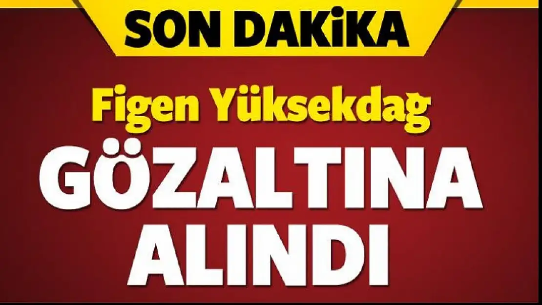 Figen Yüksekdağ gözaltına alındı