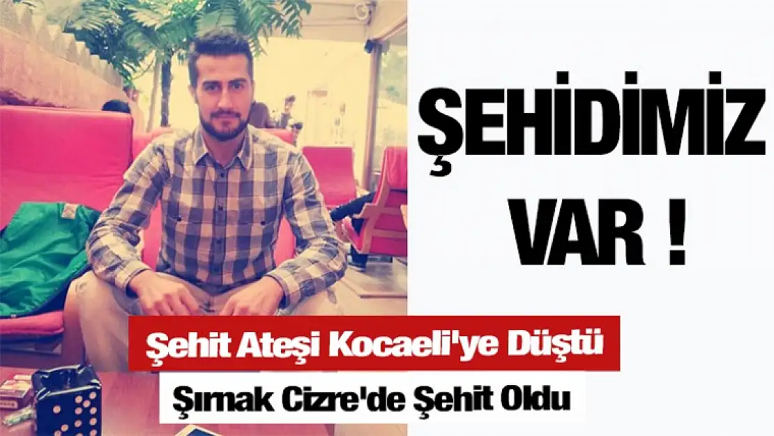 Şehit Ateşi Kocaeli'ye Düştü