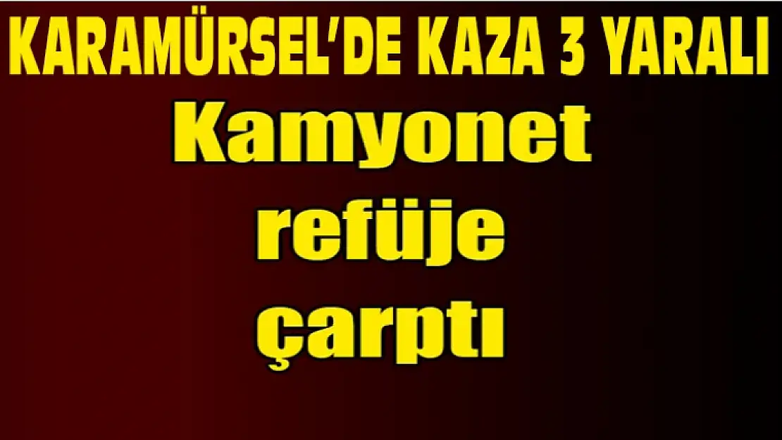 Karamürsel'de Kamyonet kaza yaptı 3 yaralı