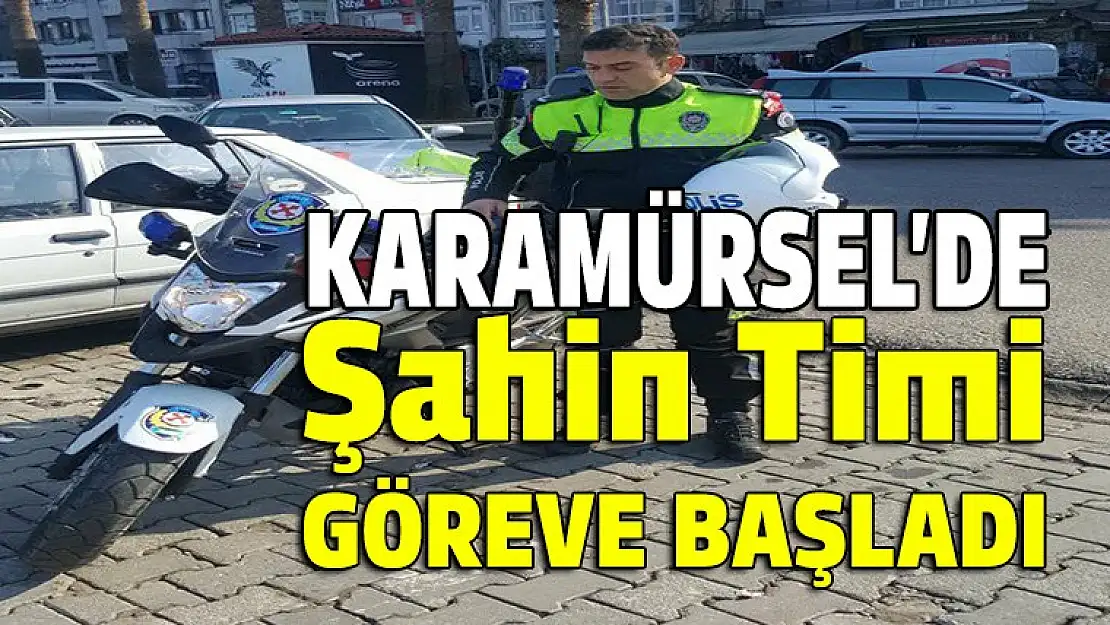 Karamürsel'de şahin timi göreve başladı