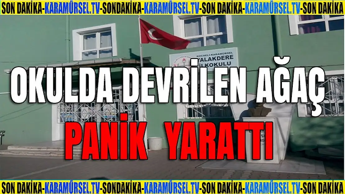 Okul bahçesinde devrilen ağaç panik yarattı