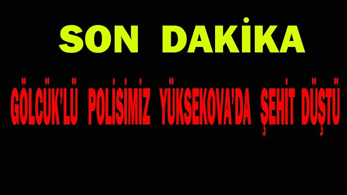 GÖLCÜKLÜ POLİS MEMURU YÜKSEKOVA'DA ŞEHİT DÜŞTÜ