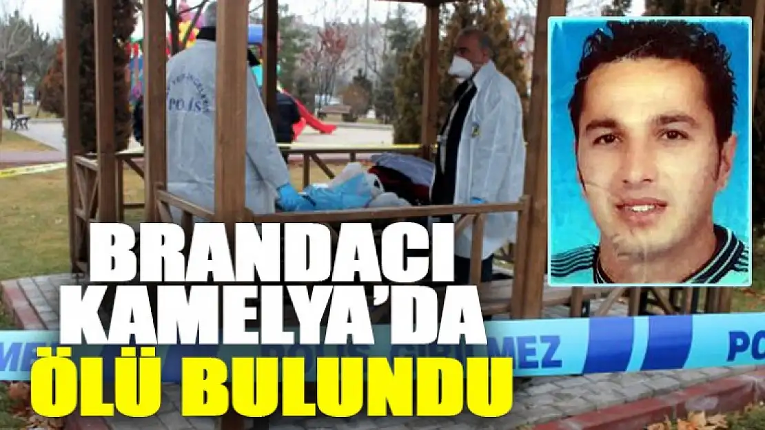 Brandacı Kamelyada Ölü Bulundu