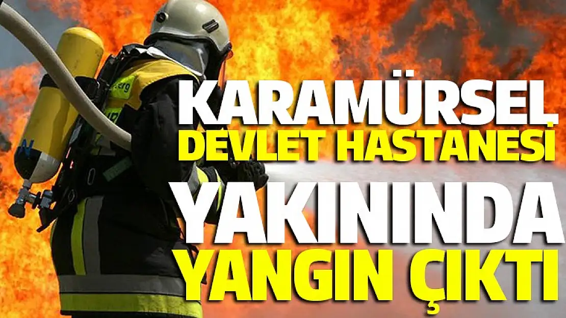 Karamürsel'de çıkan yangın korkuttu!