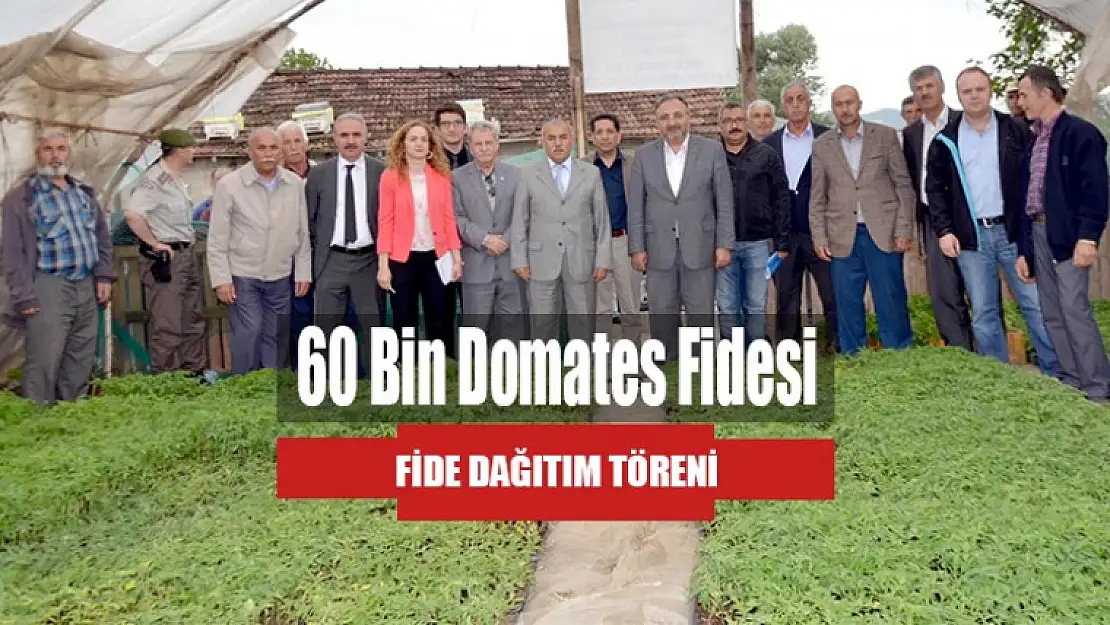 60 Bin Domates Fidesi Karamürsel'lilere Dağıtıldı