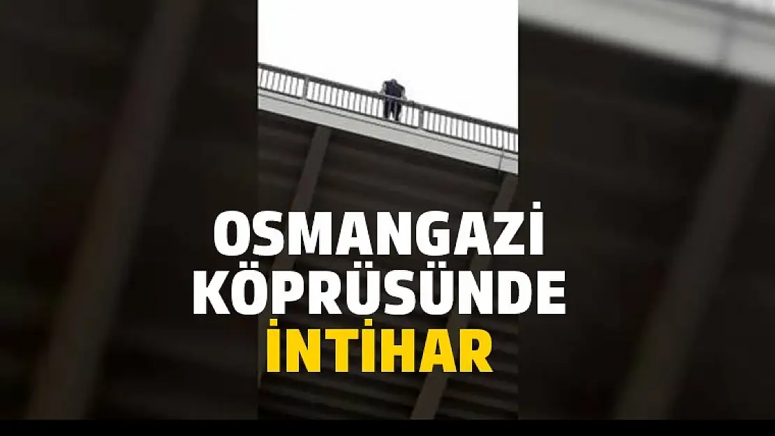 Osmangazi Köprüsün'de 2. İntihar