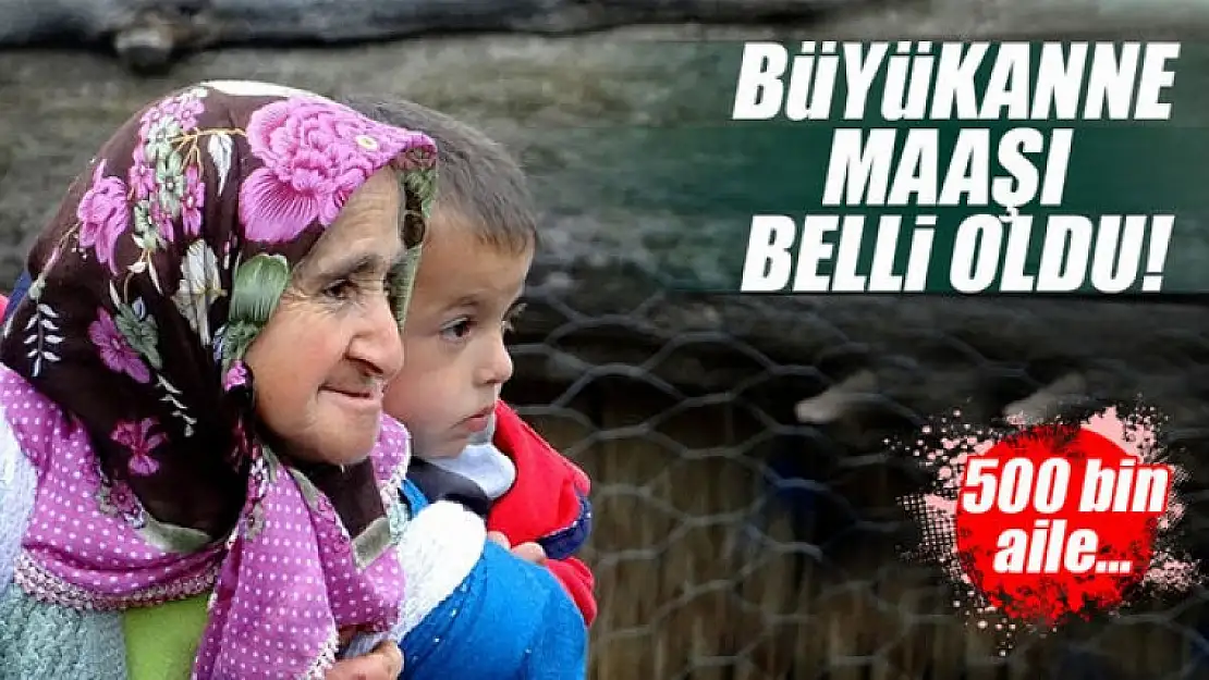 Büyükannelere verilecek maaş belli oldu