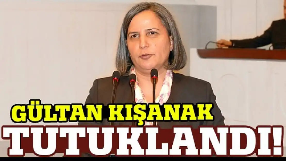 Son dakika! Gültan Kışanak tutuklandı! (Gültan Kışanak kimdir?