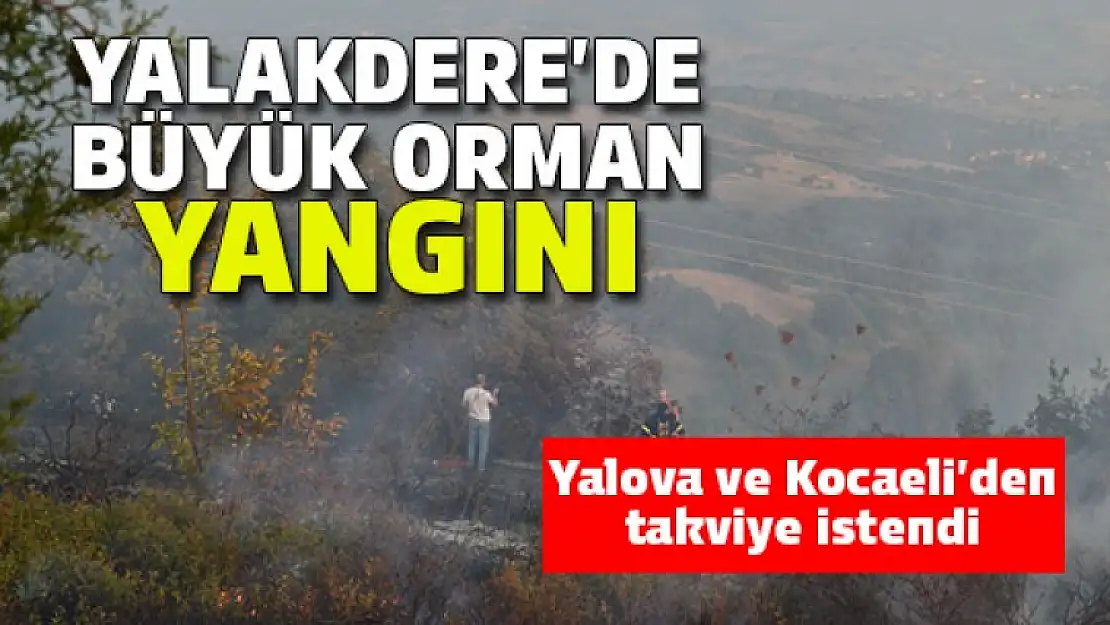 Yalakdere'de büyük orman yangını !