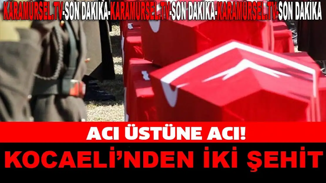 Kocaeli'nden iki şehidimiz var