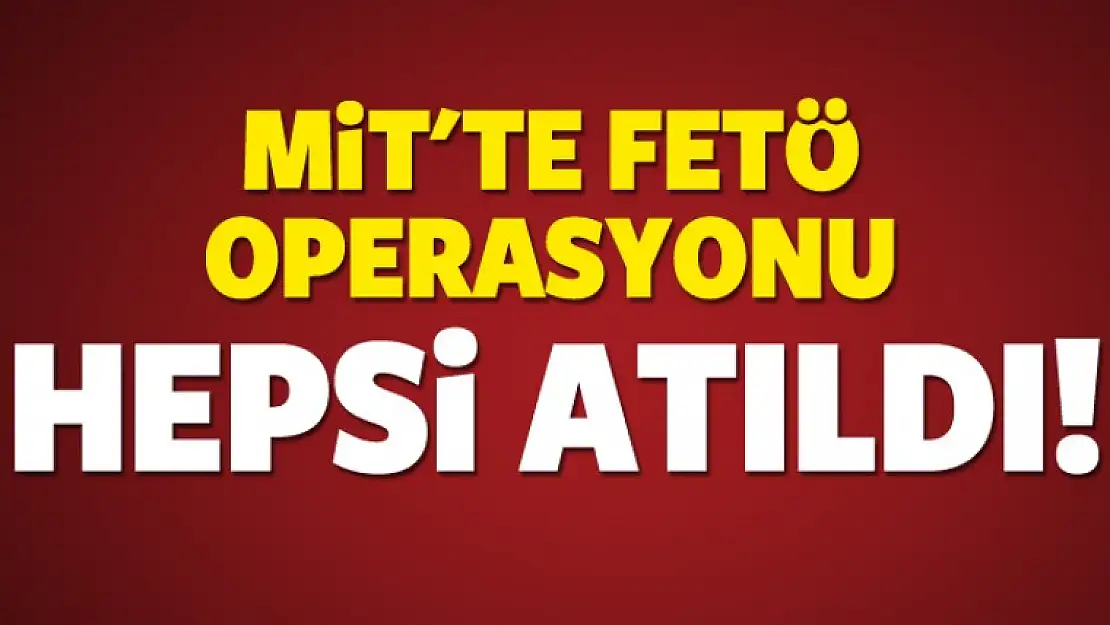 MİT'te FETÖ operasyonu