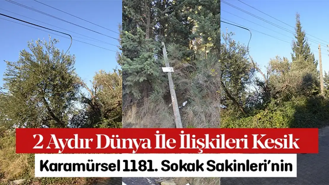 2 Aydır Dünya İle İlişkileri Kesik