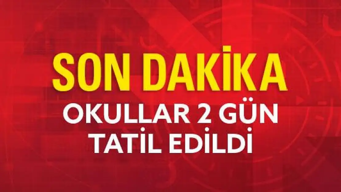 Milli Eğitim Bakanlığı, 1 Kasım'da yapılacak erken genel seçimler nedeniyle okulların 2 gün tatil edildiğini açıkladı.