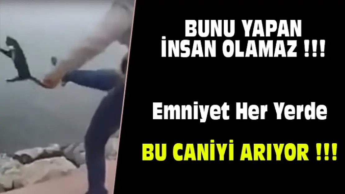 Emniyet Her Yerde Bu Caniyi Arıyor