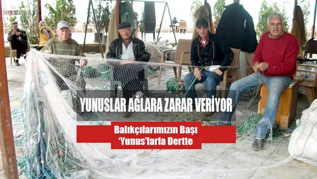 Balıkçılarımızın Başı 'Yunus'larla Dertte