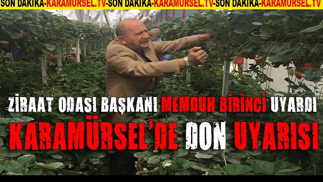 Karamürsel'de don uyarısı