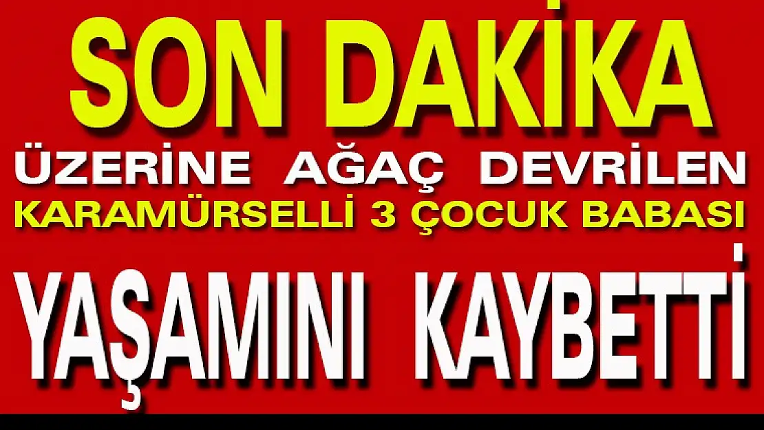 Üzerine Ağaç Devrilen Adam Öldü