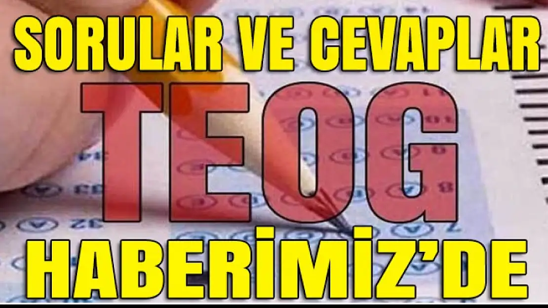 TEOG soru ve cevapları yayınlandı!