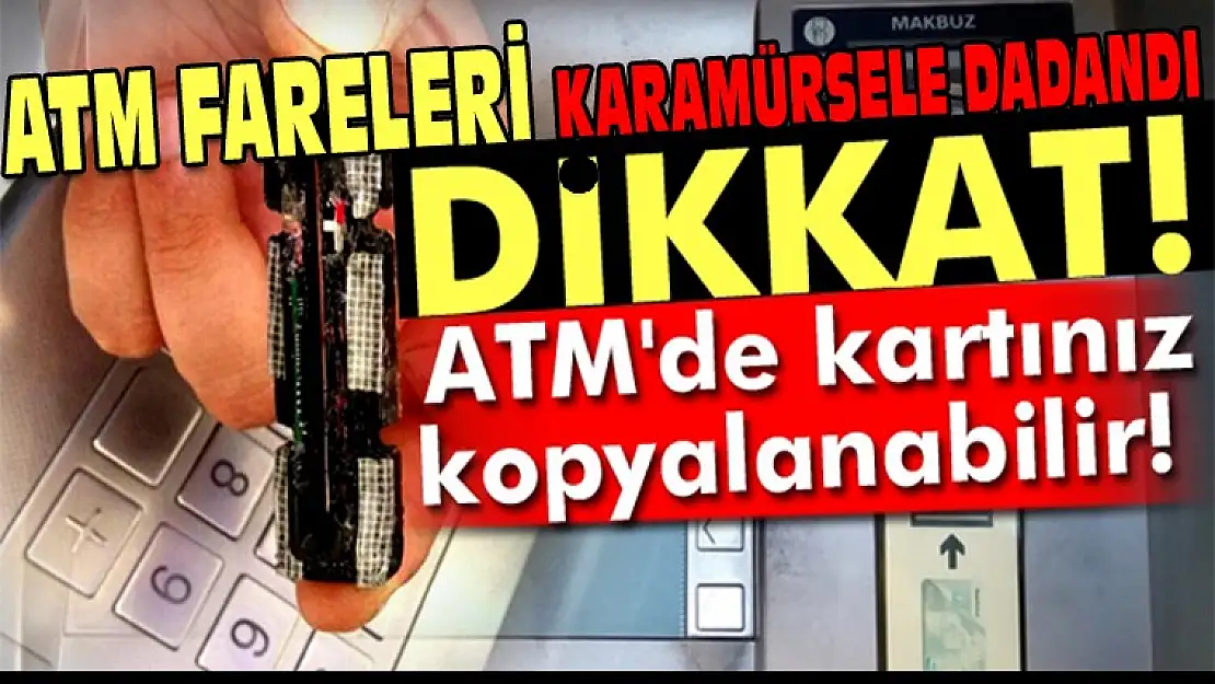 Karamürsel'de ATM Fareleri Ortaya Çıktı