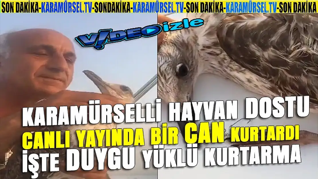 Karamürsel'de canlı yayında bir can kurtaran vatandaş fenomen oldu