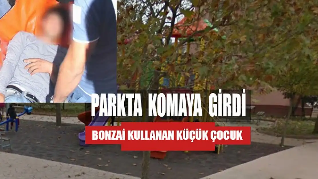 Çocuk Parkında Bonzai Komasına Girdi