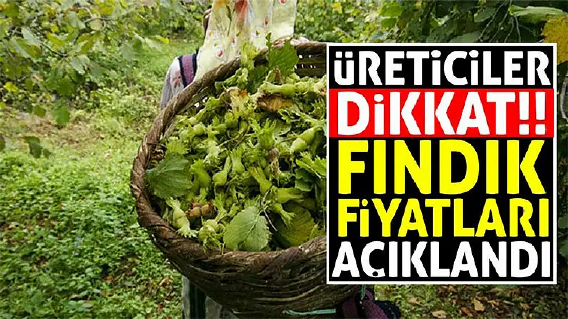 Son dakika. Fındık fiyatları açıklandı