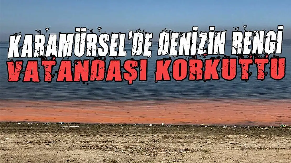 Karamürsel'de deniz  yine kahverengi