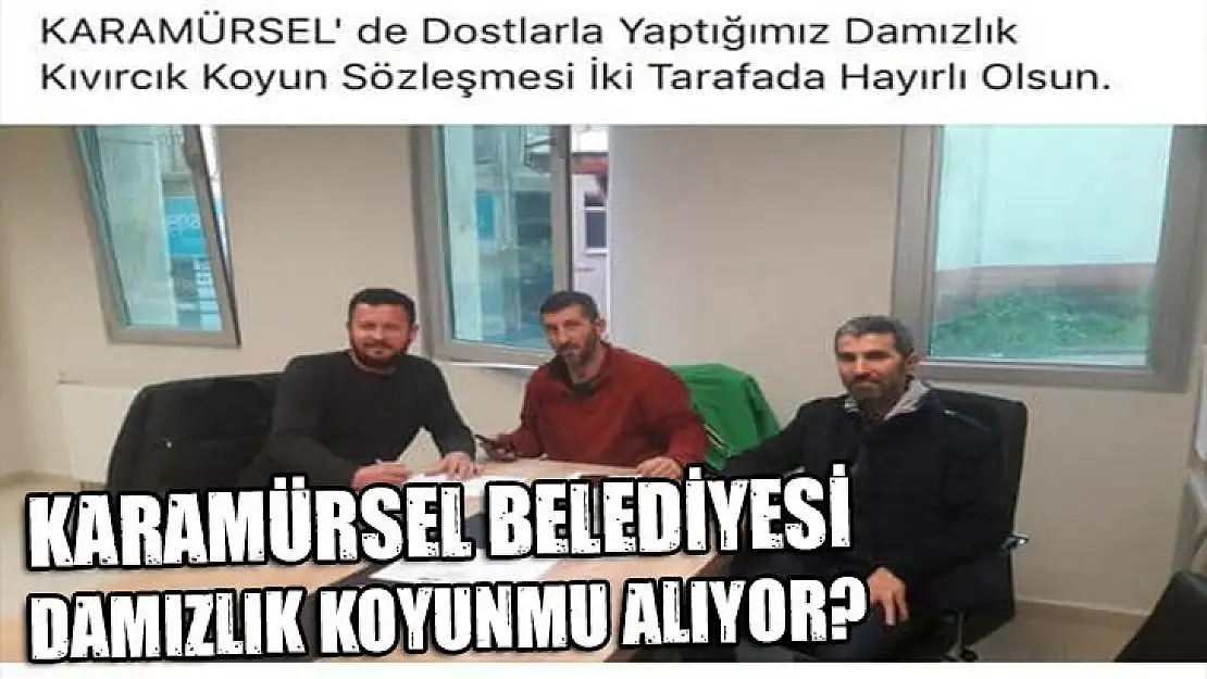 BELEDİYE DAMIZLIK KOYUNMU ALIYOR?