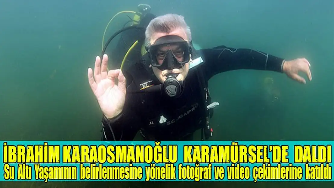 İbrahim Karaosmanoğlu, Karamürsel'de daldı