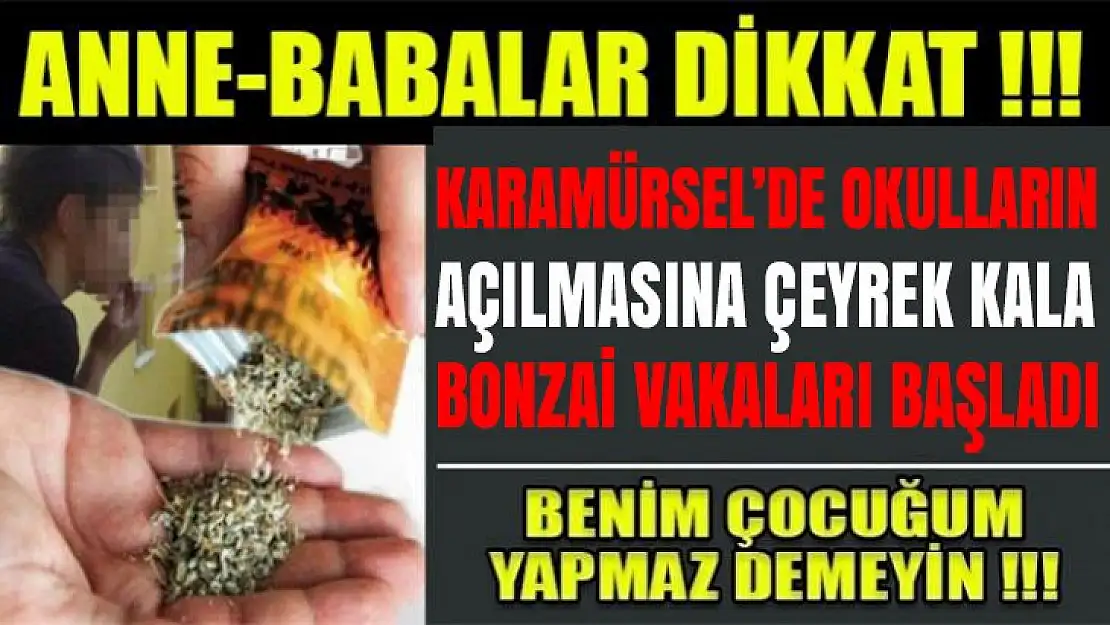 Karamürsel'de yine bonzai vakaları hortladı!