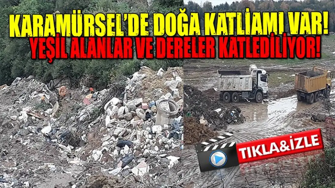 Karamürsel'de çevre katliamına tepkiler çığ gibi büyüyor!