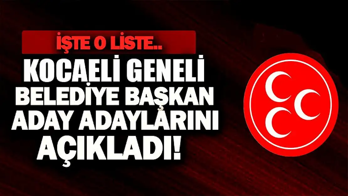 Kocaeli MHP'den 29 kişi başvuruda bulundu