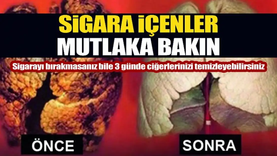 Sigara içenler mutlaka bol bol tüketmeli !