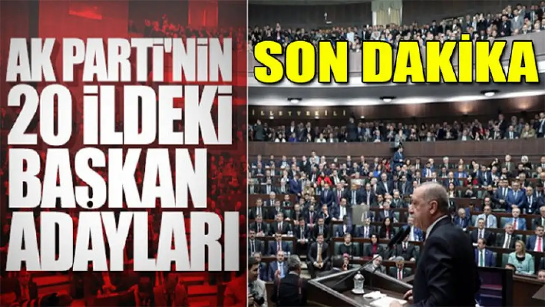 Recep Tayyip Erdoğan açıkladı: AK Parti'de 20 ilin adayı belli oldu