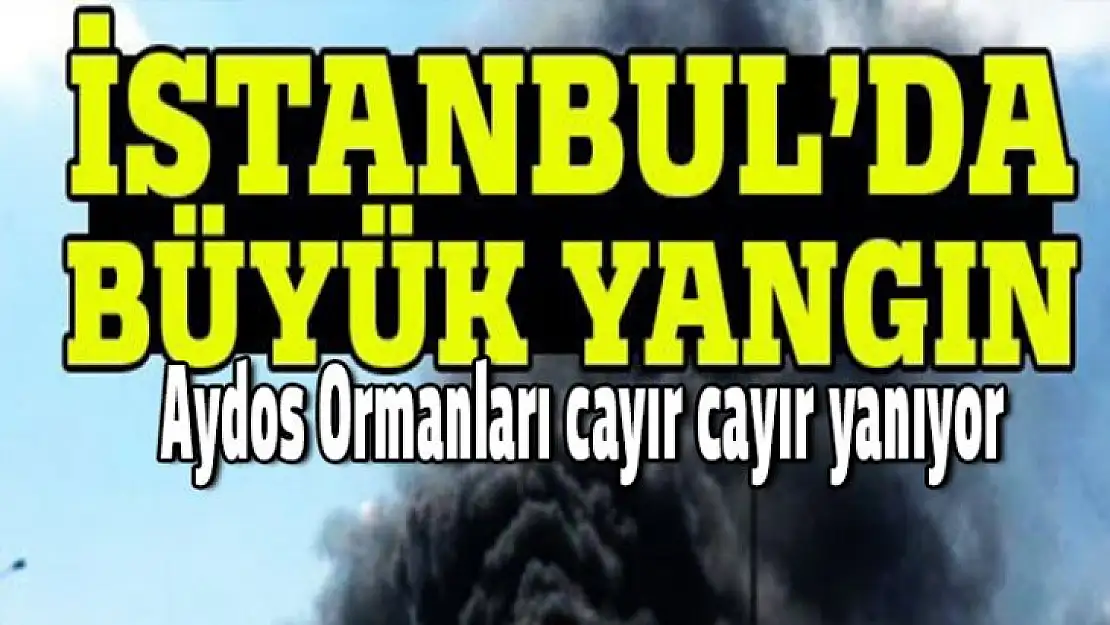 Aydos Ormanları cayır cayır yanıyor