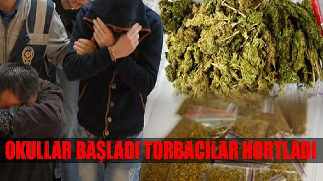 Polis torbacı avına çıktı, 6 kişi tutuklandı